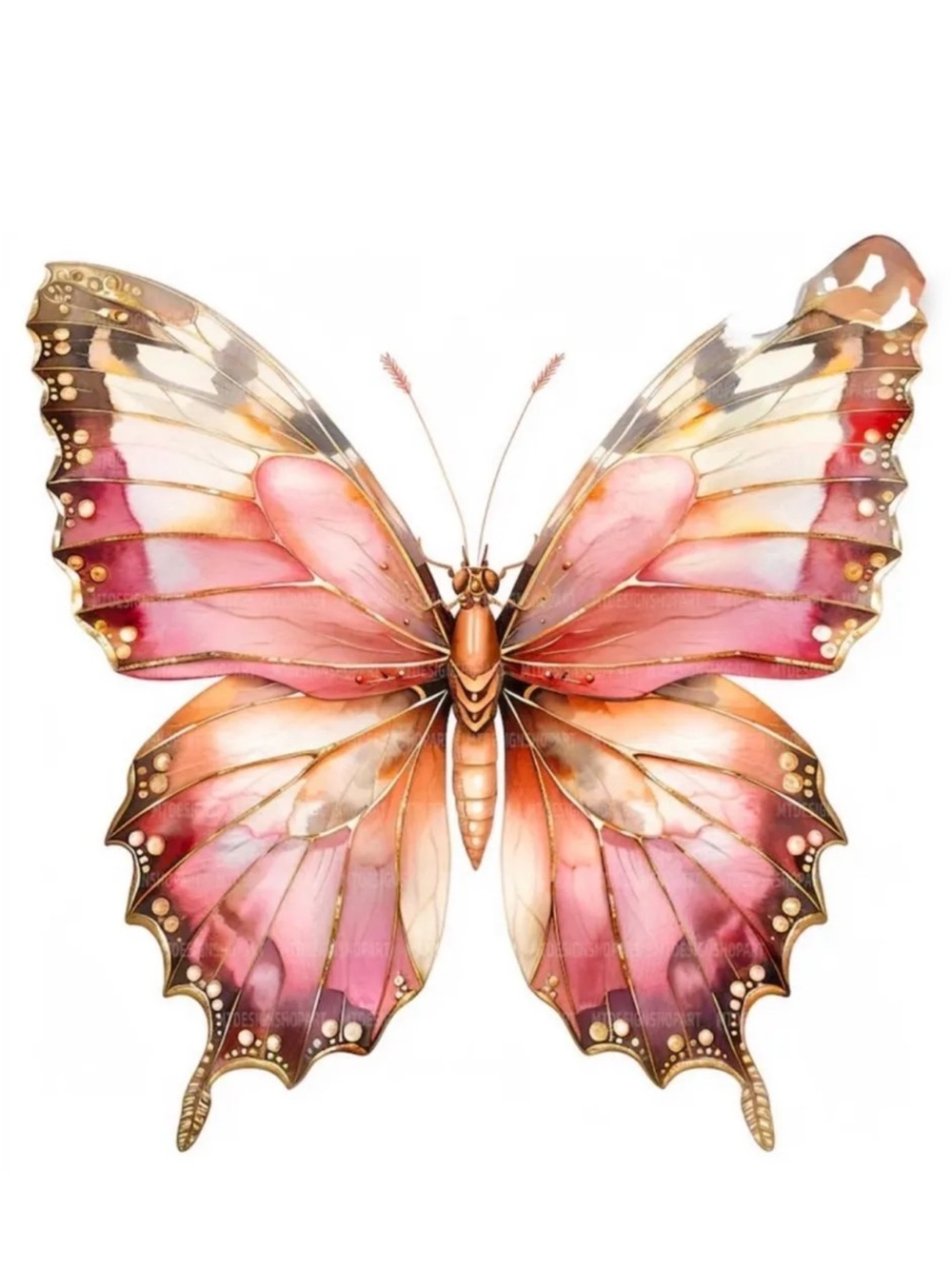 Live Show Listing🦋🦋 - Picture 4 of 6
